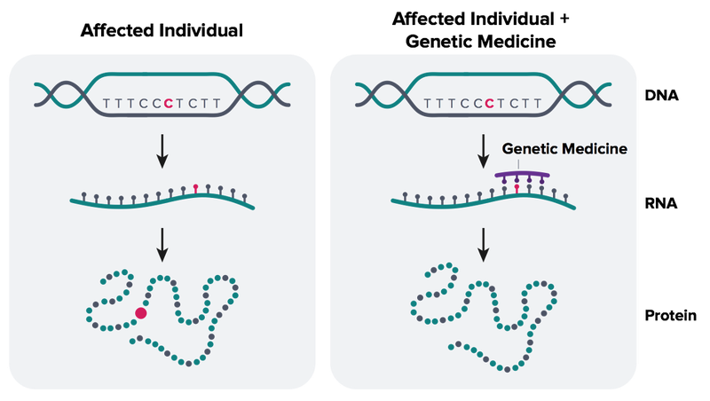 DNA